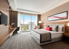 Ramada by Wyndham Nigde 5