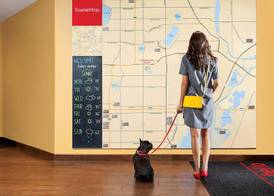 TownePlace Suites by Marriott Detroit Belleville 2