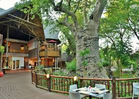 Cresta Mowana Safari Resort & Spa 2