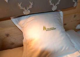 Waldhotel Doldenhorn 4