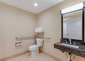 Comfort Suites Chesapeake - Norfolk 4