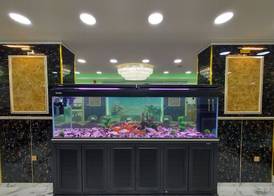 Jordan Seasons Hotel 2