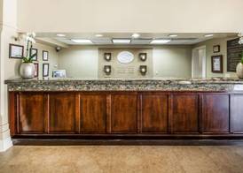 Comfort Suites Paradise Island 5