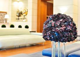 iCoconutGrove - Luxurious Vacation Rentals in Coconut Grove 2