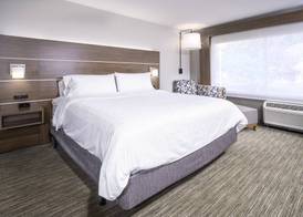 Holiday Inn Express & Suites BREVARD – CITY CENTER by IHG 4