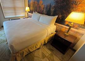 The Willowbrook Village at Lake Harmony, a Wyndham Hotel 5