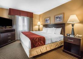 Comfort Suites Wisconsin Dells Area 5