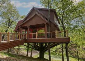 Hilton Grand Vacations Club Branson Cedars Ridgedale 5