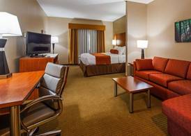 Best Western Plus Finger Lakes Inn & Suites 5