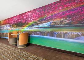 Quality Inn Mesquite - Dallas East 4