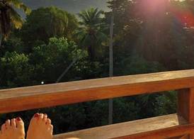 Great Palm View - Apartment 3 in Villa Coconut 2