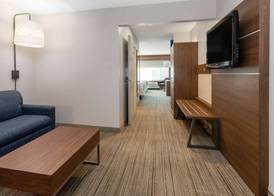 Holiday Inn Express & Suites TUCSON NORTH - MARANA by IHG 5