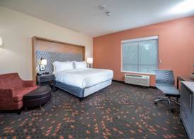 Holiday Inn ST. LOUIS - CREVE COEUR by IHG 4