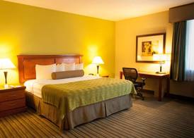 Best Western Plus Miami-Doral/Dolphin Mall 5
