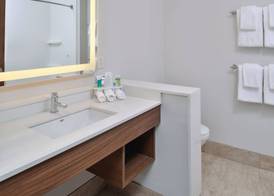 Holiday Inn Express & Suites BRIGHTON SOUTH - US 23 by IHG 4