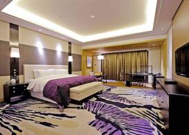 Radisson Blu Hotel Wuhan ETD Zone 3