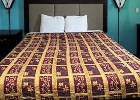 Nampa Inn & Suites 5
