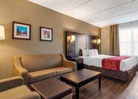 Comfort Inn & Suites near Six Flags 2