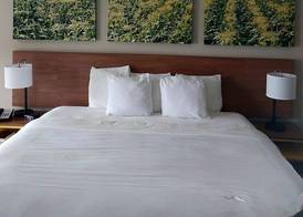 Days Inn by Wyndham Vineland 3