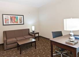 Holiday Inn Express & Suites SAN ANTONIO - FROST BANK CTR by IHG 4