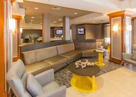 SpringHill Suites by Marriott Tampa Westshore Airport 4