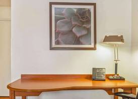La Quinta by Wyndham Tampa Brandon West 3