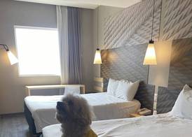 Ibis Mexico Tlalnepantla 3