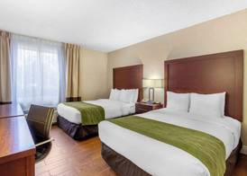 Comfort Inn St Petersburg North 3