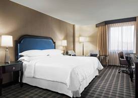 Sheraton Charlotte Airport 5