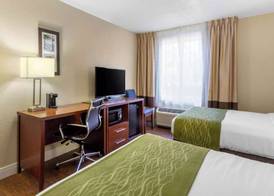 Comfort Inn St Petersburg North 4