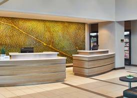 Residence Inn Atlanta Perimeter Center Dunwoody 3