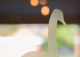 The Swan Inn 5