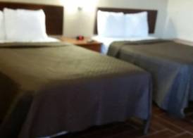 Budget Lodge of Mount Dora 3