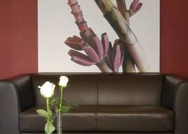 Executive Hotel 3