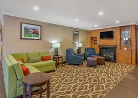 Comfort Inn & Suites North Dallas-Addison 3