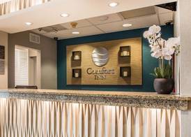 Comfort Inn South - Springfield 4