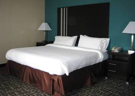 Holiday Inn Express & Suites YOUNGSTOWN (N. LIMA/BOARDMAN) by IHG 5