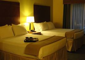 Holiday Inn Express & Suites ATLANTA EAST - LITHONIA by IHG 3