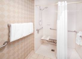 Holiday Inn & Suites CHICAGO-CAROL STREAM (WHEATON) by IHG 5