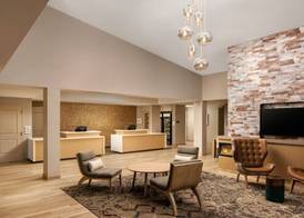 Residence Inn by Marriott Tampa Wesley Chapel 3