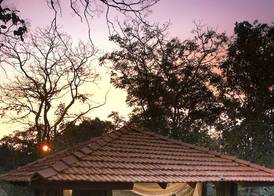 Baghvan Pench National Park - A Taj Safari Lodge 3