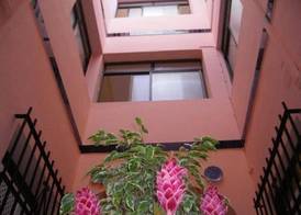 Sanvi Xerez Centro 5