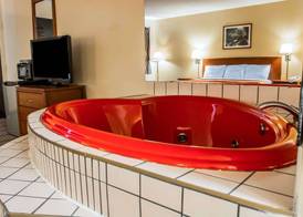 Econo Lodge Paw Paw 5