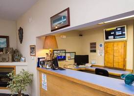 The Sandcastle Beachfront Hotel 4