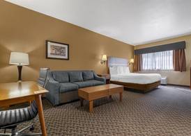 Best Western Plus Shamrock Inn & Suites 5