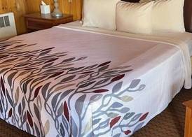 Prospector Motor Lodge 5