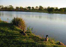Camping du Lac de Saujon 5