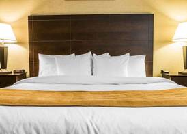 Comfort Inn Whitehall near Michigan's Adventure 3