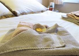 The Haldon Guest House 5