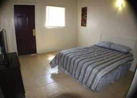 International Casa 4